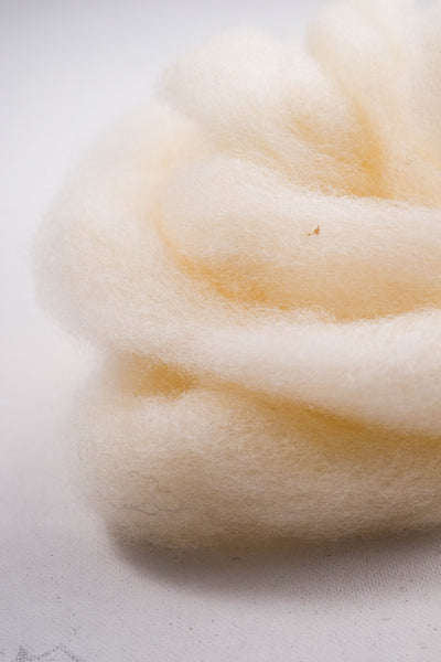 Tunis Wool Roving - 100% Ontario Canada Grown Wool from Pure Tunis Sheep