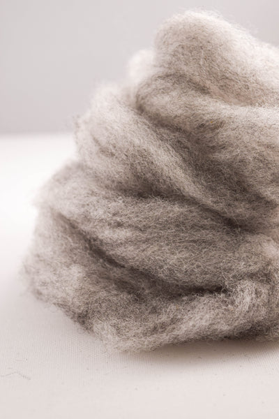 Grey Romney Wool Roving - 100% Ontario Canada Grown Wool from Pure Romney Sheep