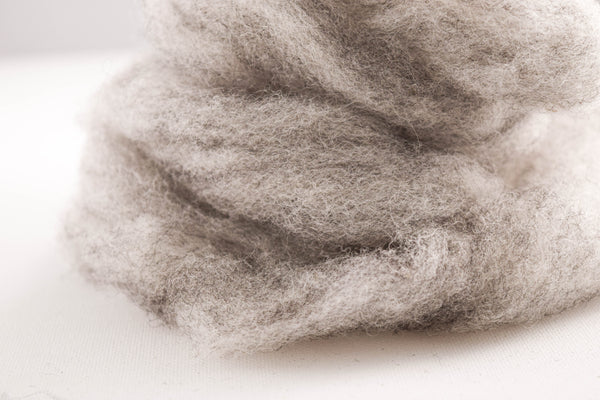 Grey Romney Wool Roving - 100% Ontario Canada Grown Wool from Pure Romney Sheep