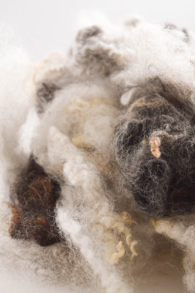 Black & Grey Romney Washed Wool - 100% Ontario Canada Grown Wool from Pure Romney Sheep