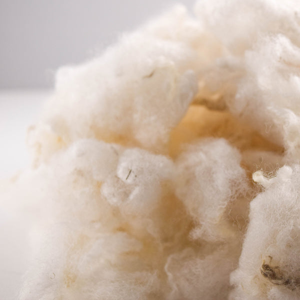 White Romney Washed Wool - 100% Ontario Canada Grown Wool from Pure Romney Sheep