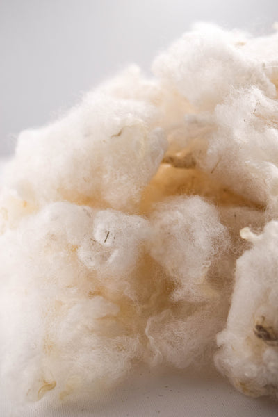 White Romney Washed Wool - 100% Ontario Canada Grown Wool from Pure Romney Sheep