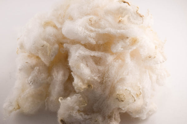 White Romney Washed Wool - 100% Ontario Canada Grown Wool from Pure Romney Sheep