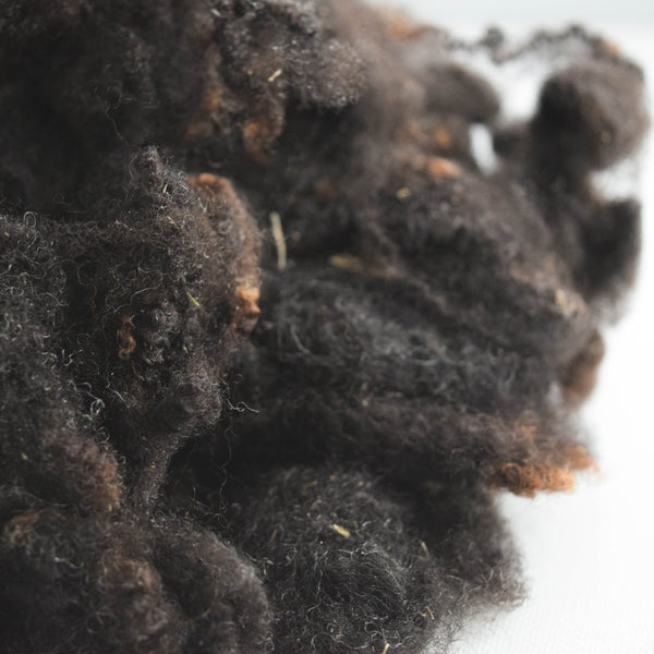 Black Romney Washed Wool - 100% Ontario Canada Grown Wool from Pure Romney Sheep